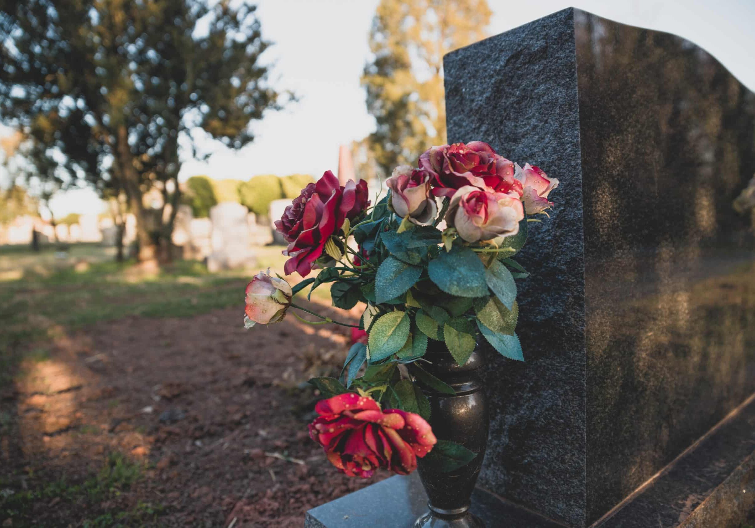 flowers on a graveyard