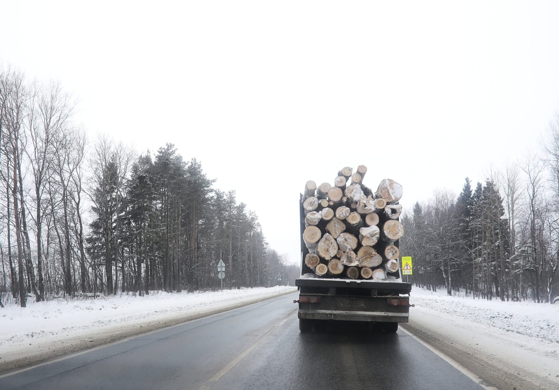 truck carrying logs